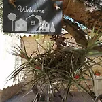 Les Sous L' Olivier En Camargue Tatil Evi
