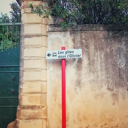 Les Sous L' Olivier En Camargue Feriehus Vauvert