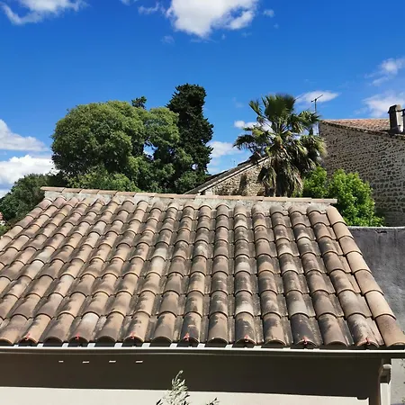 Feriehus Les Sous L' Olivier En Camargue *