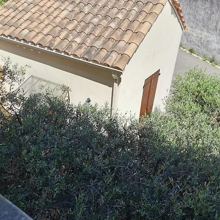 Les Sous L' Olivier En Camargue * בובר