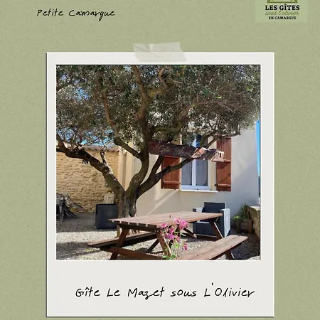 Les Sous L' Olivier En Camargue *