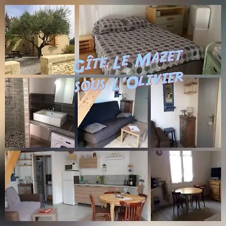 Les Sous L' Olivier En Camargue Feriehus *